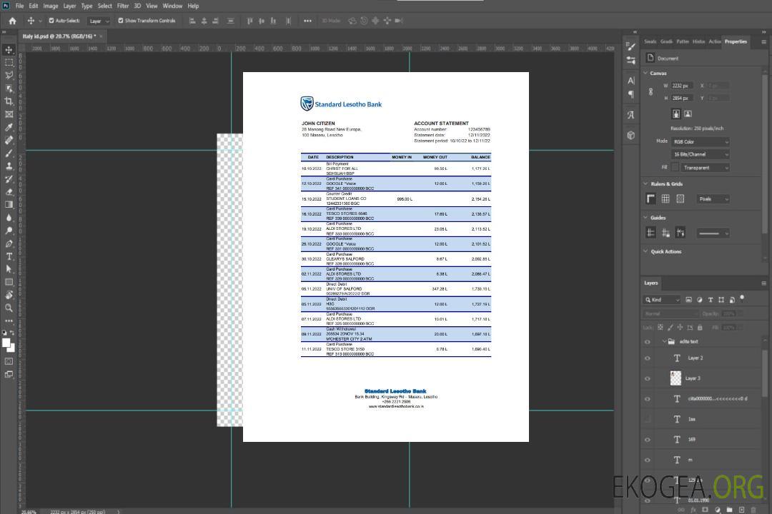 Relevé bancaire standard du Lesotho xls template